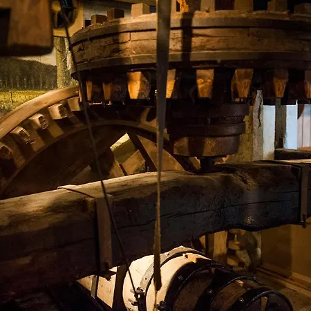 De Geulhemermolen Мини-отель